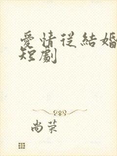 爱情从结婚开始短剧