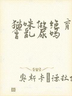 猫咪做绝育后还会乱尿吗封面