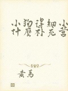 小狗得细小后吃什么补充营养封面