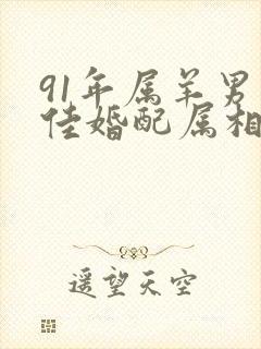 91年属羊男最佳婚配属相