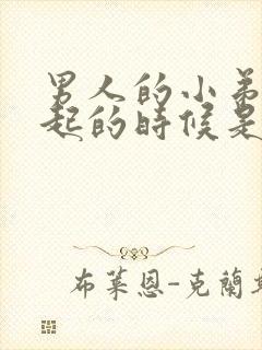 男人的小弟弟勃起的时候是哪个阶段