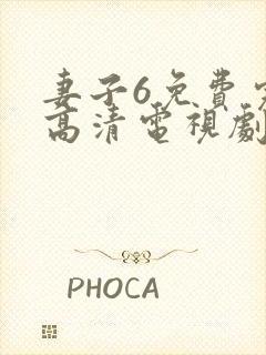 妻子6免费完整高清电视剧在线看封面