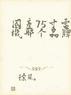 国产75寸电视机哪个品牌好性价比高封面