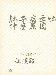 肚子痛要吐呕吐什么原因