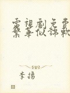 电视剧免费观看繁华似锦软件