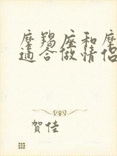 摩羯座和摩羯座适合做情侣吗