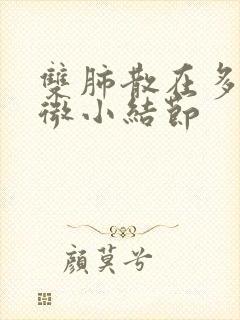 双肺散在多发性微小结节