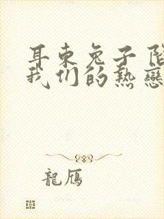 耳东兔子 陷入我们的热恋封面