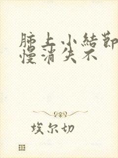 肺上小结节会慢慢消失不封面