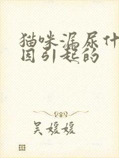 猫咪漏尿什么原因引起的