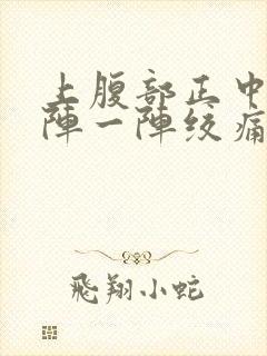 上腹部正中间一阵一阵绞痛封面