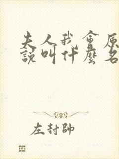 夫人我会原著小说叫什么名字来着