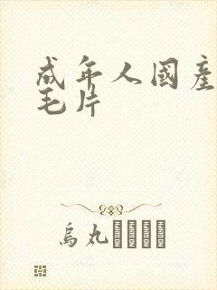 成年人国产精品毛片