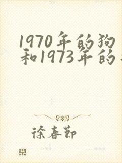 1970年的狗和1973年的牛相配吗