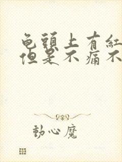 龟头上有红点,但是不痛不痒封面