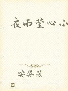 夜雨莹心小说