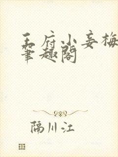 王府小妾梅素素笔趣阁