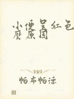 小便呈红色是什么原因封面