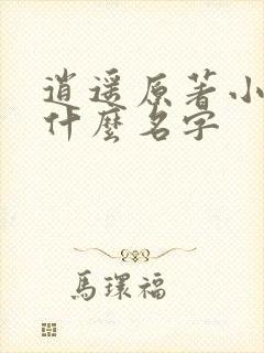 逍遥原著小说叫什么名字