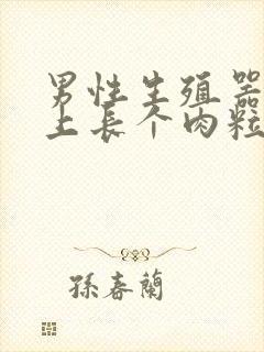 男性生殖器口边上长个肉粒