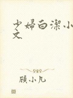 少妇白洁小说全文