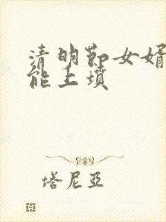 清明节女婿能不能上坟封面