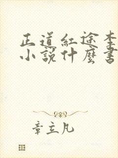 正道红途李初年小说什么书名