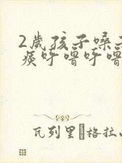 2岁孩子嗓子有痰呼噜呼噜的怎么办