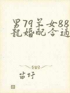 男79羊女88龙婚配合适吗