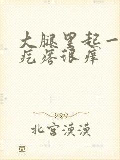 大腿里起一片红疙瘩很痒封面