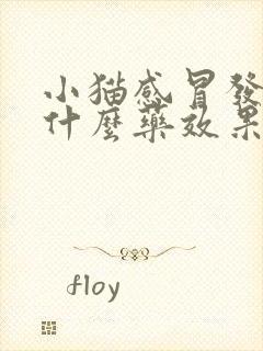 小猫感冒发烧吃什么药效果好