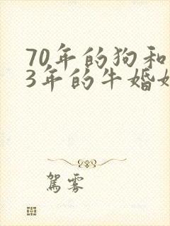 70年的狗和73年的牛婚姻相配吗