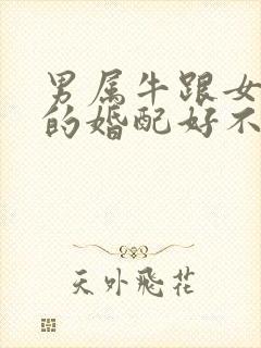 男属牛跟女属兔的婚配好不好