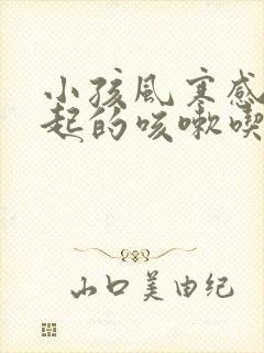 小孩风寒感冒引起的咳嗽吃什么药