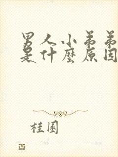 男人小弟弟不硬是什么原因