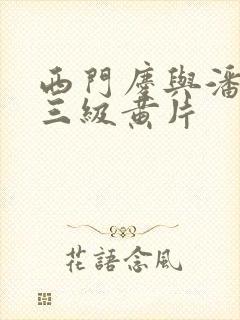 西门庆与潘金莲三级黄片封面