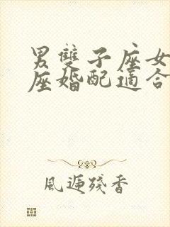 男双子座女摩羯座婚配适合吗