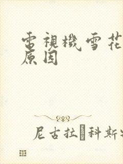 电视机雪花屏的原因