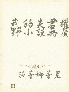 我的夫君权倾朝野小说无广告封面