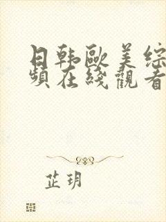 日韩欧美综合视频在线观看