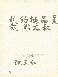 我的极品美女总裁 欲大叔