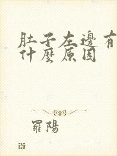 肚子左边有点痛什么原因