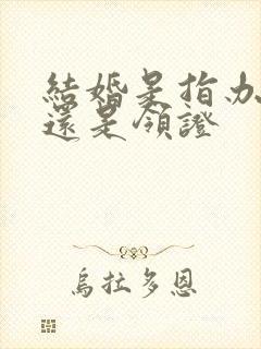 结婚是指办酒席还是领证封面