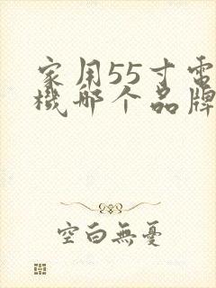 家用55寸电视机哪个品牌好