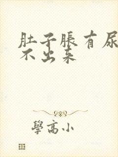 肚子胀有尿意尿不出来