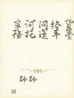 宁河网络货运业务托运平台