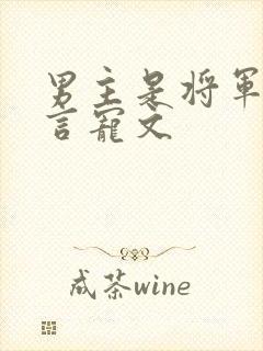 男主是将军的古言宠文