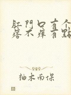 肛门口有个肉疙瘩不痒有点痛