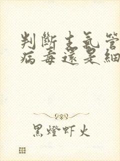 判断支气管炎是病毒还是细菌