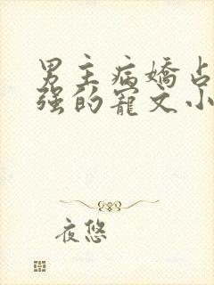 男主病娇占有欲强的宠文小说推荐封面